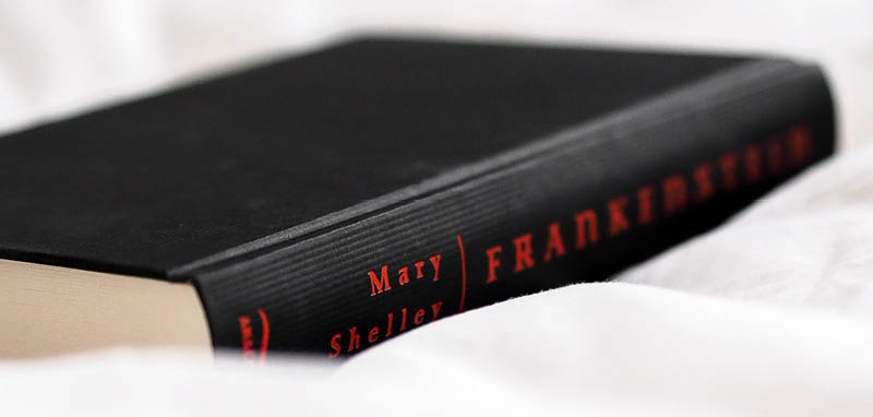 The power of knowledge about language: a case study using Shelley's Frankenstein