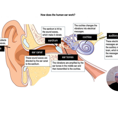 How to improve students’ science literacy?