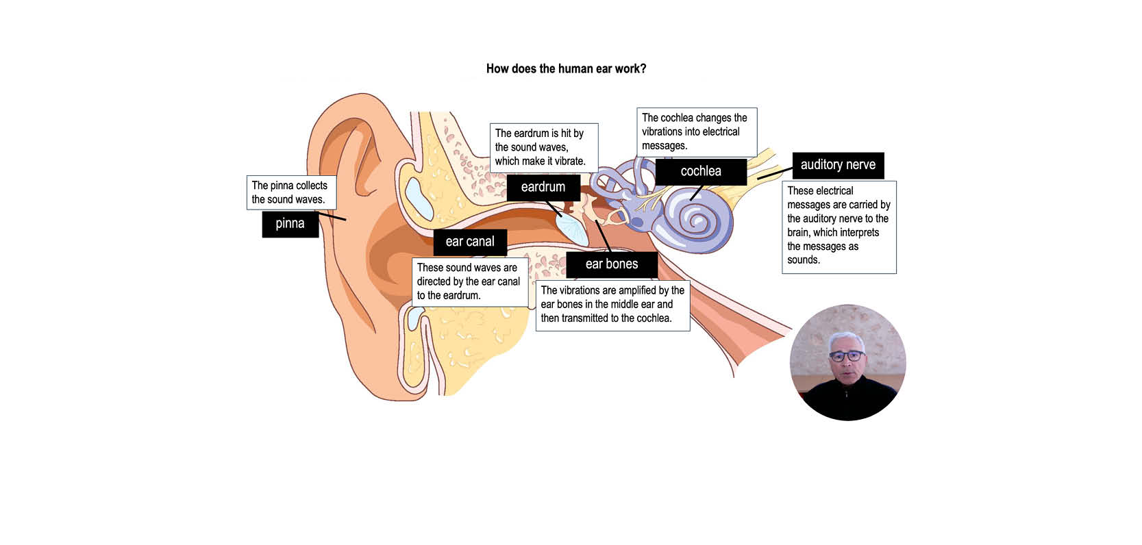 How to improve students’ science literacy?