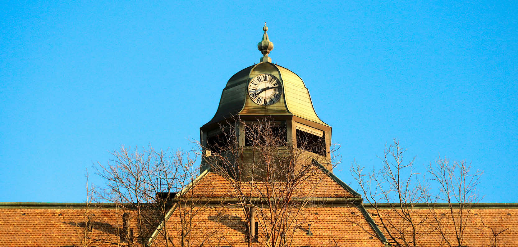 Toowoomba Catholic Schools Office